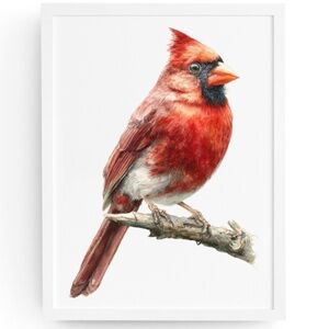 Watercolor Red Cardinal Bird Portrait Wall Art Print Unframed